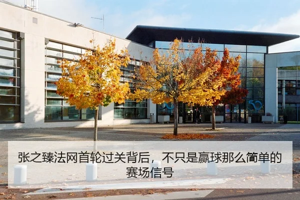 张之臻法网首轮过关背后，不只是赢球那么简单的赛场信号
